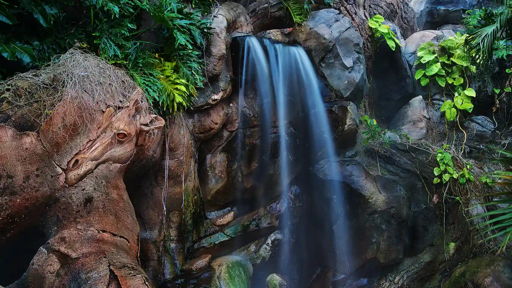 Waterfall view on a hike at Animal Kingdom