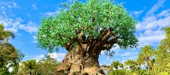 Tree of Life