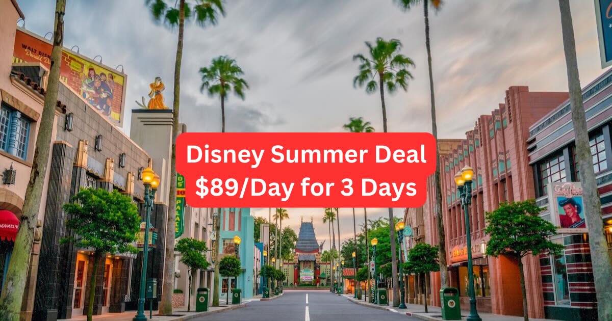 89 Disney World Tickets Summer 2024