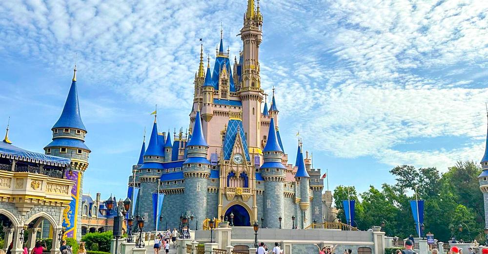 Magic Kingdom Castle