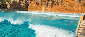 Typhoon Lagoon Surf Pool