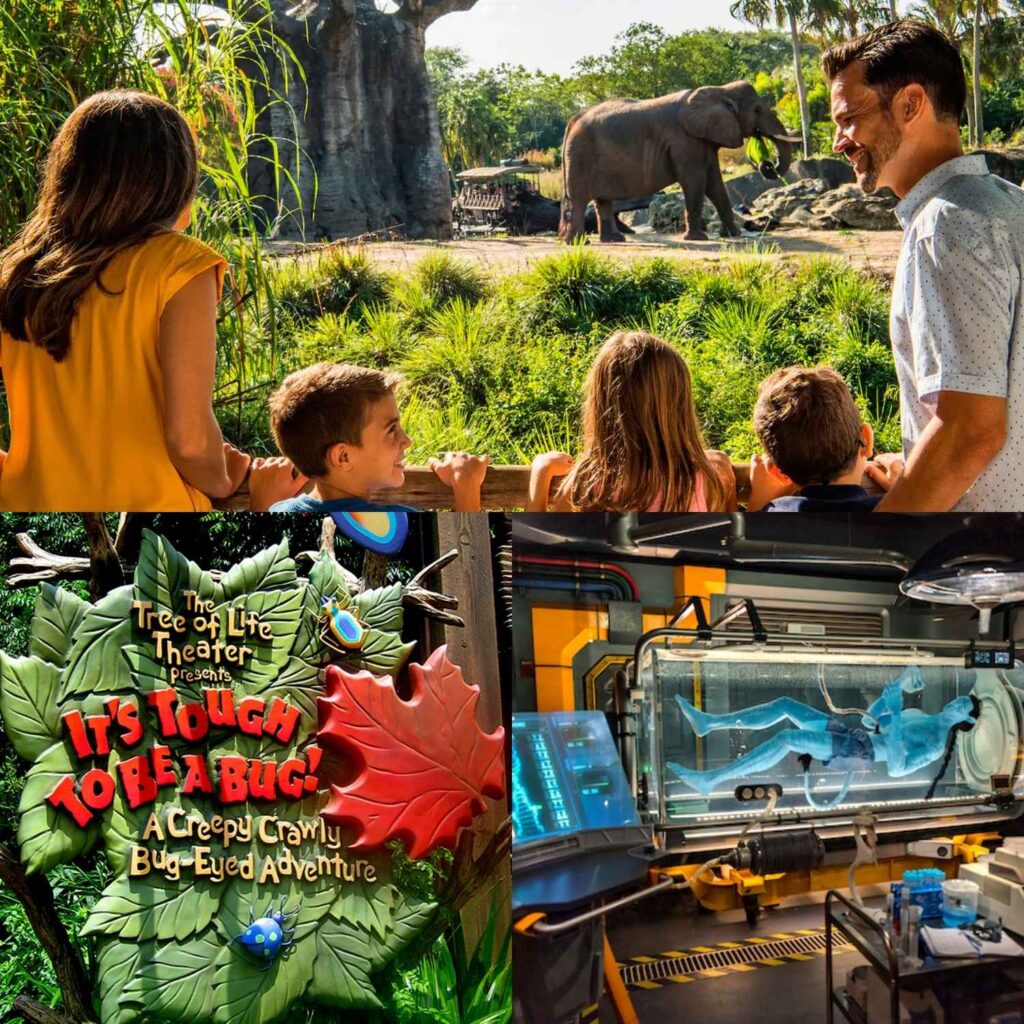 animal-kingdom-at-dawn-the-wild-rope-drop-rides-you-can-t-miss-and